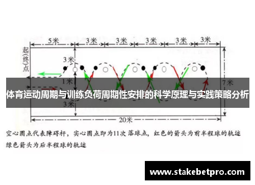 体育运动周期与训练负荷周期性安排的科学原理与实践策略分析
